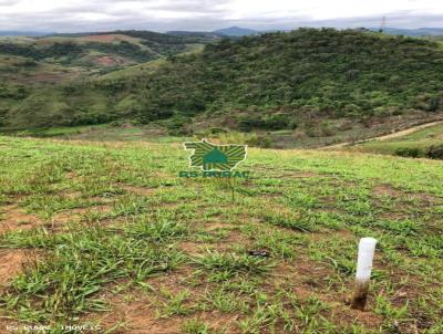 Terreno para Venda, em Simo Pereira, bairro Pedra do Paraibuna