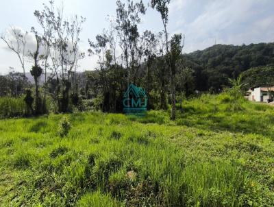 Terreno para Venda, em Ubatuba, bairro Praia da Tabatinga