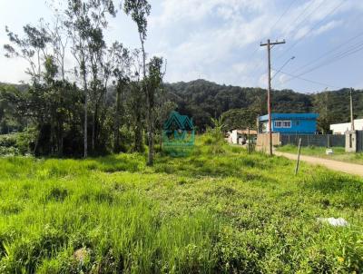 Terreno para Venda, em Ubatuba, bairro Praia da Tabatinga