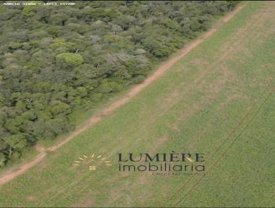 Fazenda para Venda, em Nova Mutum, bairro ALVORADA