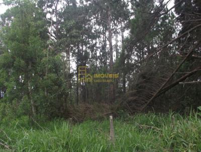 Terreno Rural para Venda, em Itu, bairro Apotribu de Cima