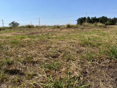 Terreno para Venda, em Holambra, bairro Residencial Jardim Europa