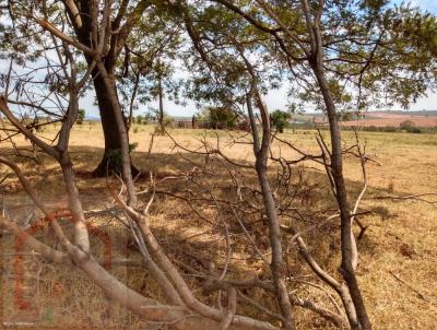 rea Rural para Venda, em So Joo do Caiu, bairro rea Rural