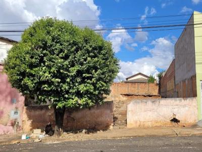 Terreno para Venda, em Lins, bairro Rebouas