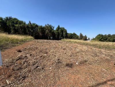 Terreno para Venda, em Holambra, bairro Residencial Jardim Europa