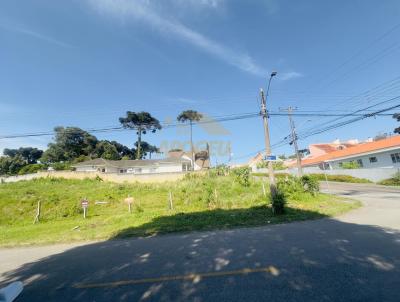 Terreno para Venda, em So Jos dos Pinhais, bairro Aristocrata