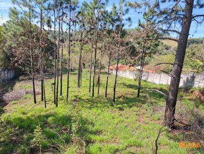 Terreno para Venda, em Atibaia, bairro Chcaras Ferno Dias