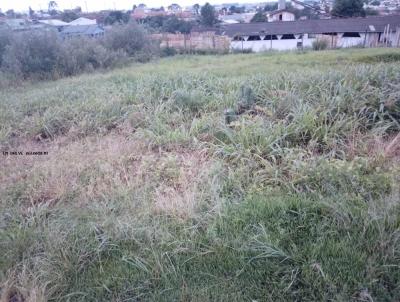 Lote para Venda, em Prudentpolis, bairro VILA BERALDO