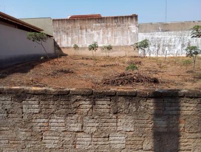 Terreno para Venda, em Lins, bairro Residencial Morumbi