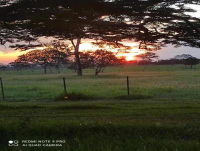 Fazenda para Venda, em , bairro -