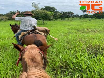 Fazenda para Venda, em Primavera do Leste, bairro Zona rural