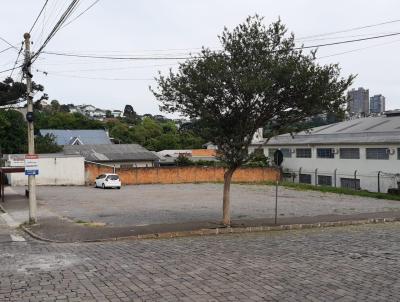 Terreno para Venda, em , bairro Santa Marta