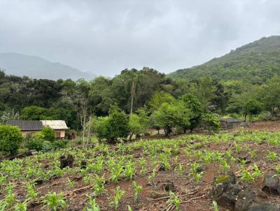 Stio / Chcara para Venda, em Morro Reuter, bairro Franquenthal, 3 dormitrios, 1 banheiro