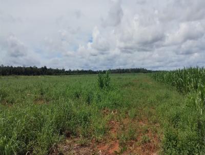 Stio para Venda, em Feliz Natal, bairro Zona rural