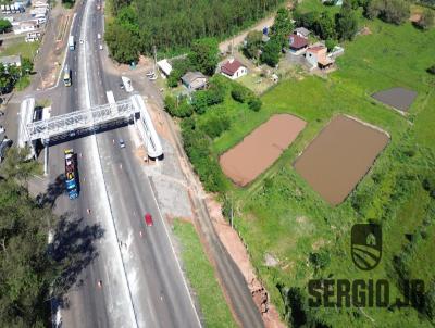 Terreno para Venda, em Triunfo, bairro rea rural