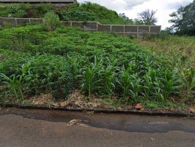 Terreno para Venda, em Romelndia, bairro Loteamento Jardim Amrica IV