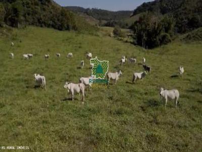 Fazenda para Venda, em Mercs, bairro Alto da Serra