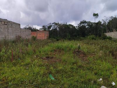 Terreno para Venda, em Itanham, bairro Tupy