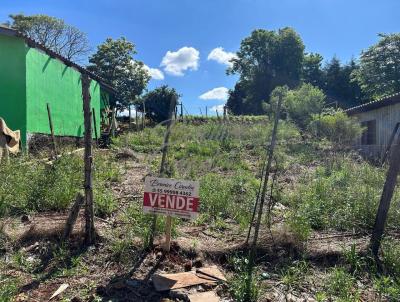 Terreno para Venda, em Panambi, bairro -