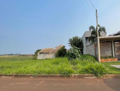 Terreno para Venda, em Medianeira, bairro Jardim Rafaela