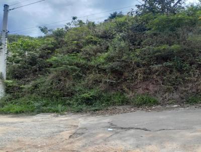 Terreno para Venda, em Santana de Parnaba, bairro Cidade Sao Pedro