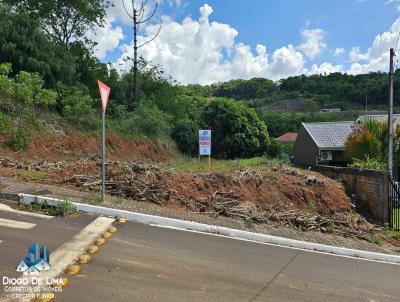 Lote para Venda, em Nova Laranjeiras, bairro Pinheirinho