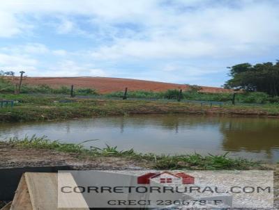 Terreno para Venda, em Piedade, bairro Buenos