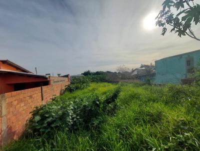 Terreno para Venda, em Esteio, bairro Olmpica