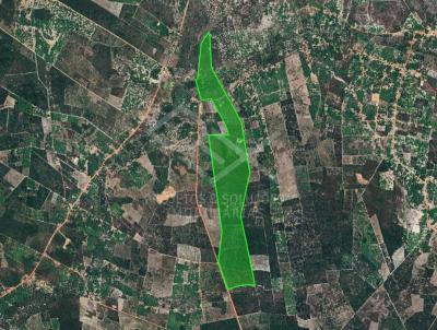Fazenda para Venda, em Cocal, bairro Zona Rural