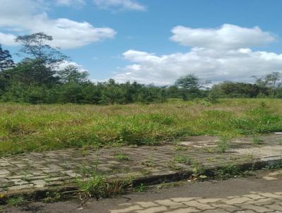 Terreno para Venda, em Sapiranga, bairro -