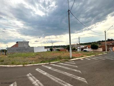 Terreno para Venda, em Marlia, bairro Jardim Marac