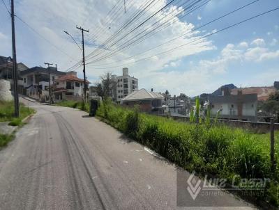 Terreno para Venda, em Palhoa, bairro Pedra Branca