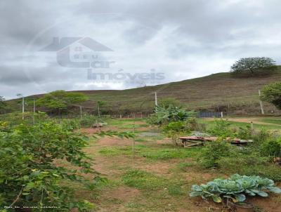 Terreno para Venda, em Santo Antnio de Pdua, bairro Fazenda Liberdade