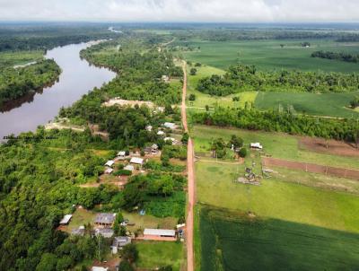 Chcara para Venda, em Pimenteiras do Oeste, bairro Linha 11, 6 dormitrios, 6 banheiros, 6 sutes