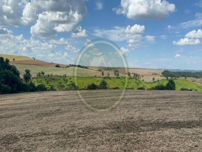 Fazenda para Venda, em , bairro .