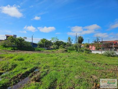 Terreno para Venda, em Perube, bairro Sao Joao Batista