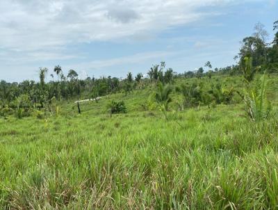 Fazenda para Venda, em Porto Velho, bairro Nova Califrnia