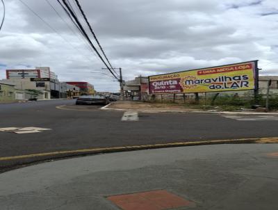 Terreno para Venda, em Franca, bairro Centro