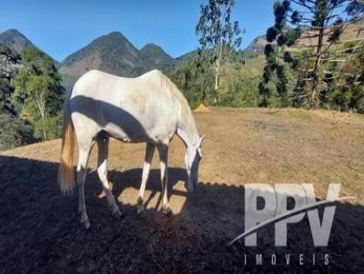 Stio para Venda, em Terespolis, bairro Fazenda Alpina, 2 dormitrios, 1 banheiro