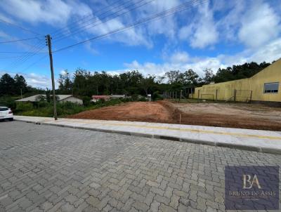 Terreno para Venda, em Serto Santana, bairro Centro