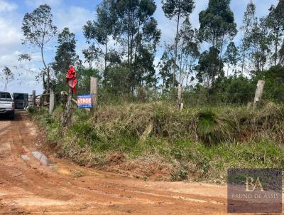 rea Rural para Venda, em Sentinela do Sul, bairro interior