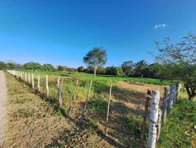 Terreno Rural para Venda, em , bairro Centro