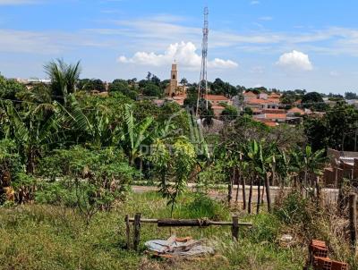 Chcara para Venda, em Alfredo Marcondes, bairro Vila Vasconcelos