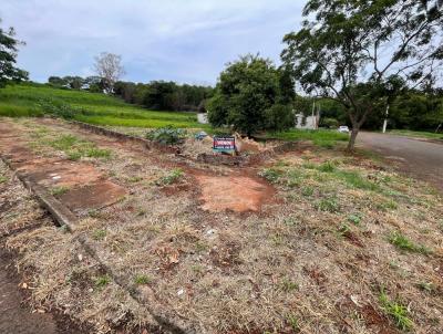 Terreno para Venda, em Maring, bairro Jardim So Paulo