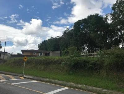 Terreno para Venda, em Araucria, bairro Centro