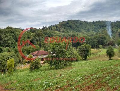 Stio para Venda, em Piedade, bairro Ciraco, 4 dormitrios, 3 banheiros, 4 vagas