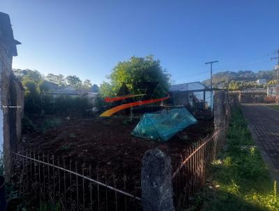 Terreno para Venda, em Francisco Beltro, bairro Pinheirinho