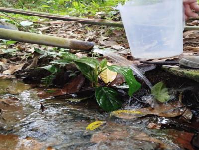 Stio para Venda, em Cabo de Santo Agostinho, bairro usina libedade, 1 dormitrio, 1 banheiro