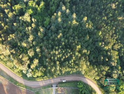 rea Rural para Venda, em Baro, bairro Interior