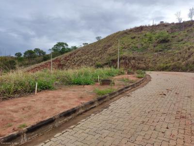 Terreno Urbano para Venda, em Governador Valadares, bairro Terra Nova